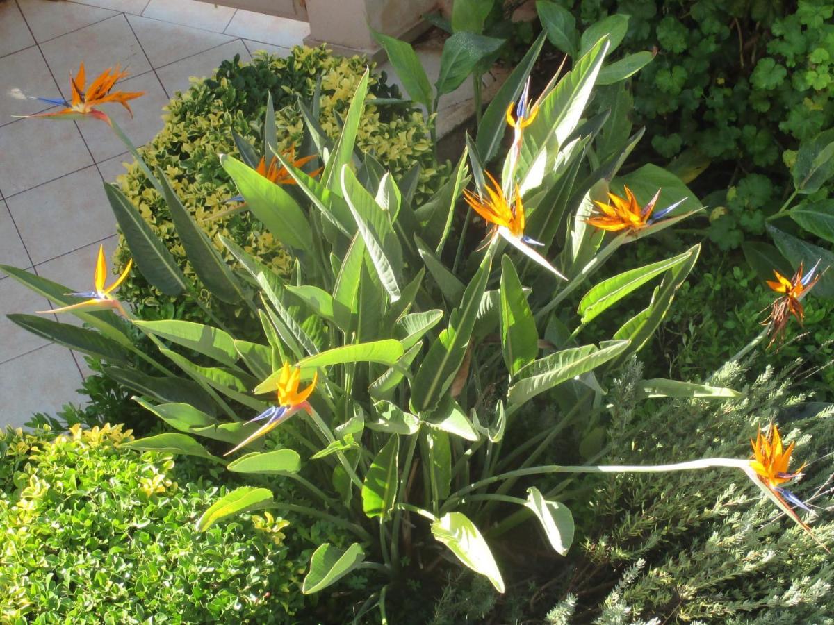 Villa Verde Apart-Hotel Nea Makri Bagian luar foto